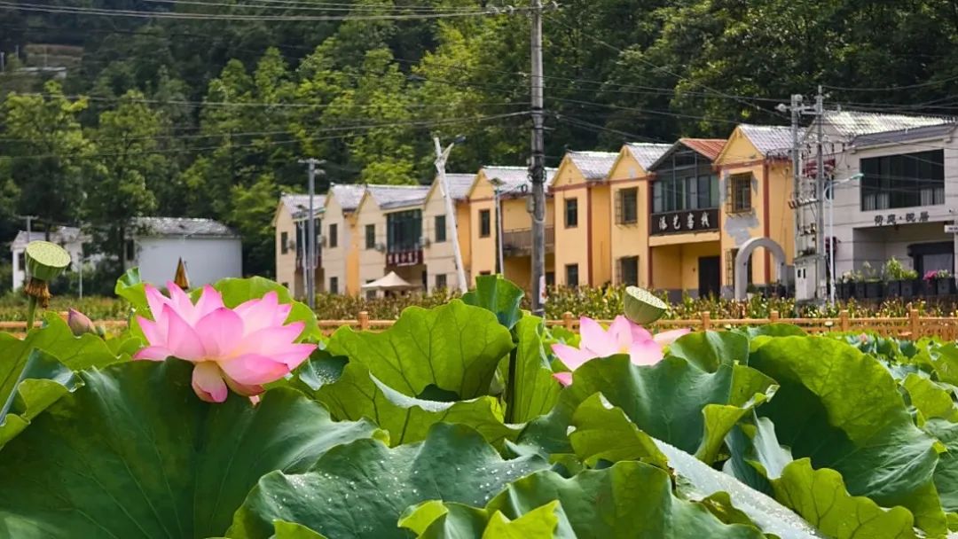 12b65d8874ff99772ccfc5d64f25e16f.jpg 12b65d8874ff99772ccfc5d64f25e16f.jpg