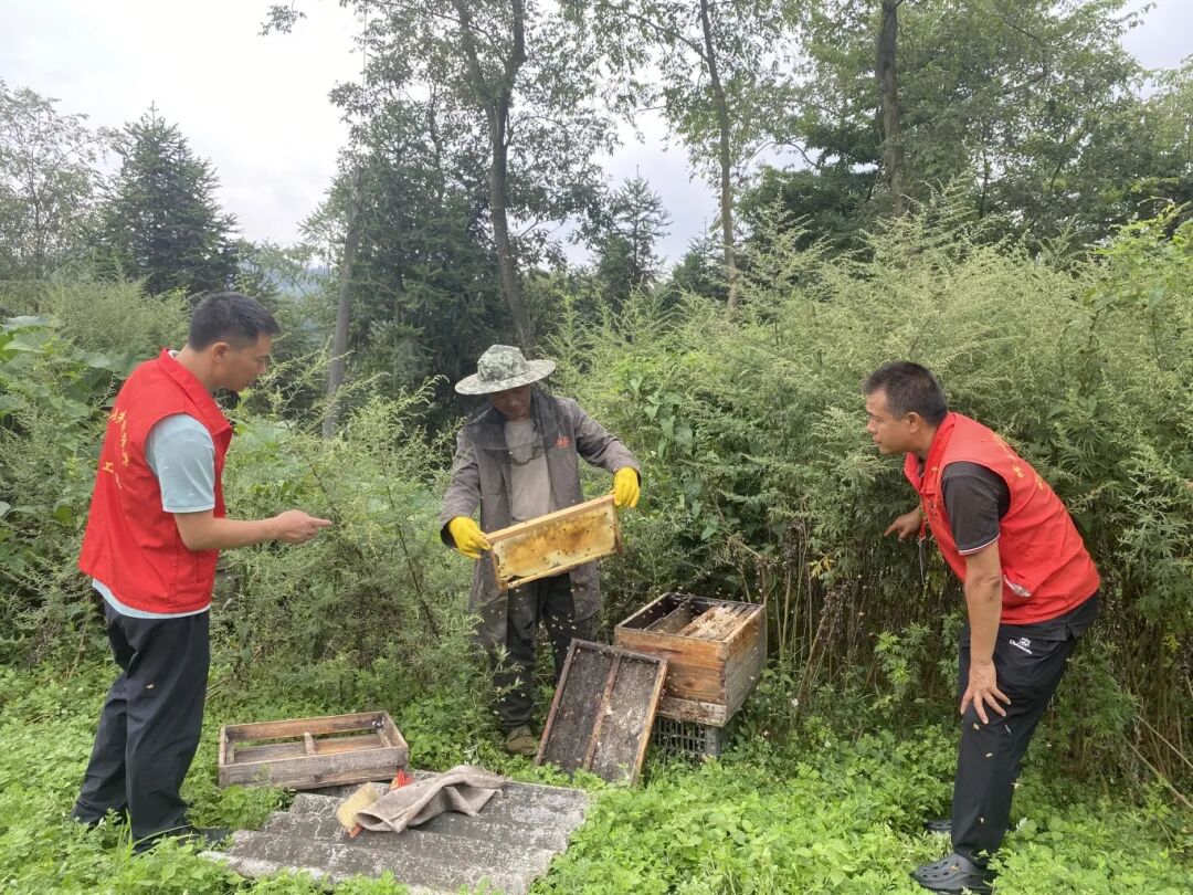 【排隊抓尾·奮進修文】修文縣六屯鎮(zhèn)陸豐村：“蜂”光無限促增收 尾端發(fā)力釀“甜”果