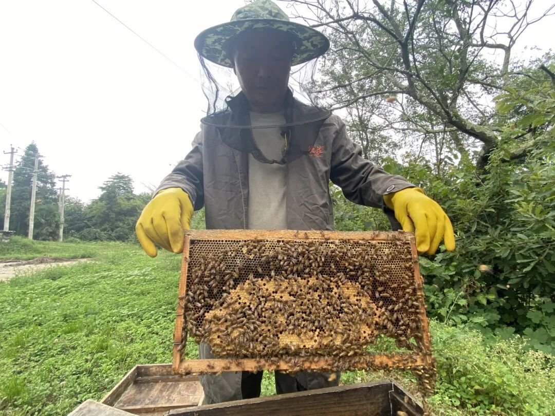 c19676331bdb0c47d0a9af0f7aa0af22.jpg c19676331bdb0c47d0a9af0f7aa0af22.jpg