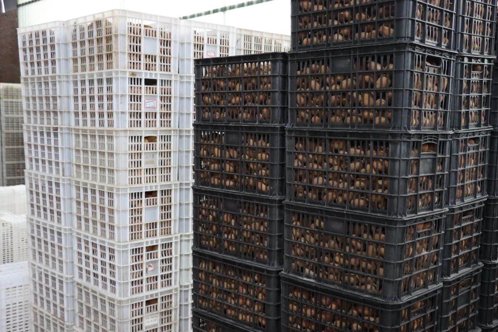 adf25b4cc4ed0e7e44e639162661e72a.jpg adf25b4cc4ed0e7e44e639162661e72a.jpg