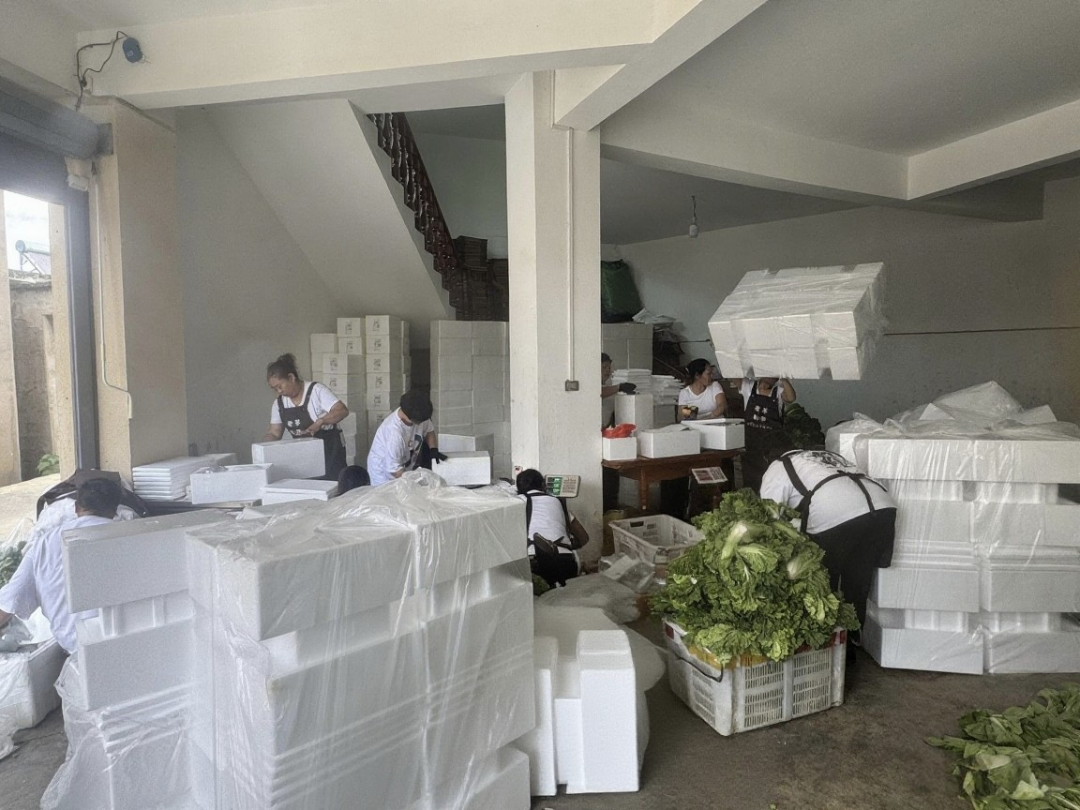 9d46bac0b81d84bed2a6fdb7c3a10983.png 9d46bac0b81d84bed2a6fdb7c3a10983.png