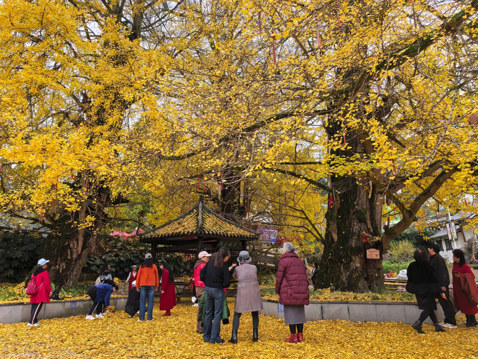 52afcfa9f1eed56f5f248deb58ad2c05.jpg 52afcfa9f1eed56f5f248deb58ad2c05.jpg