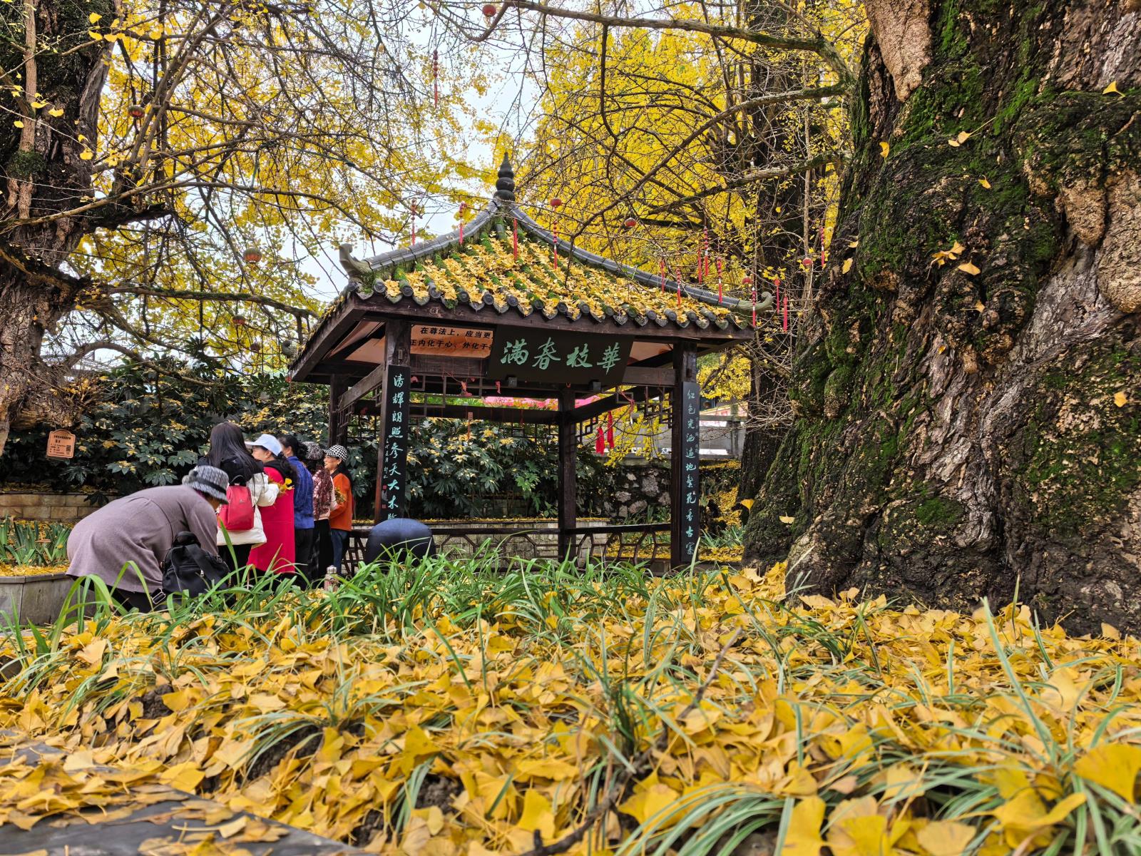 33b2641d603f73522dd5ecbd3c49cf2f.jpg 33b2641d603f73522dd5ecbd3c49cf2f.jpg