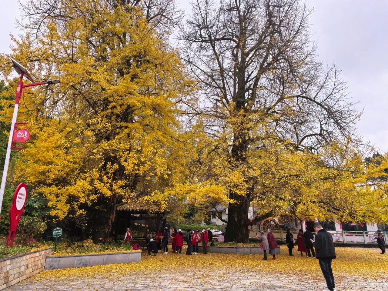 293b1439b0dd043edd75dd83d7132fbb.jpg 293b1439b0dd043edd75dd83d7132fbb.jpg