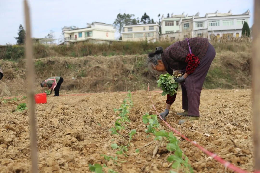 f101d635ecf34b921a960bf6f960752f.jpg f101d635ecf34b921a960bf6f960752f.jpg