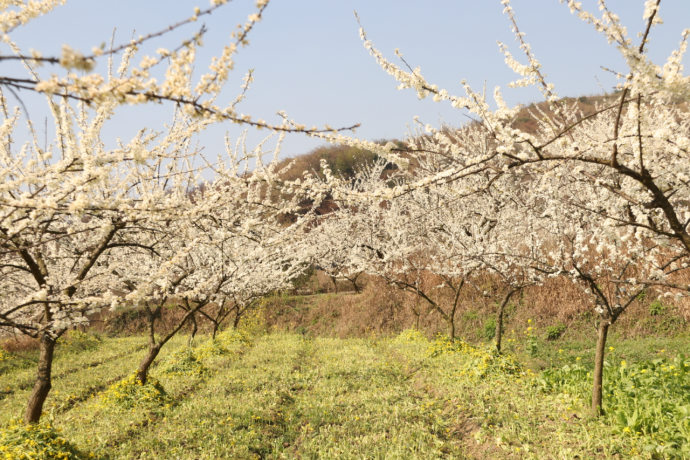 98da02b0a43306ec57dbc27c808ddd9e.png 98da02b0a43306ec57dbc27c808ddd9e.png